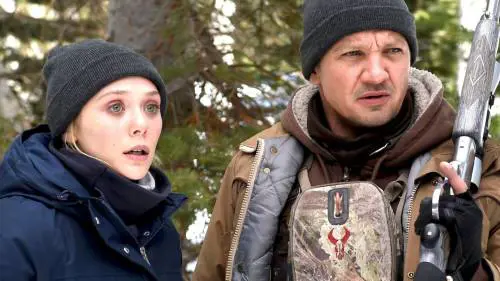 McConaughey koala, Jeremy Renner cacciatore e La signora dello zoo di Varsavia: cosa vedere stasera in tv