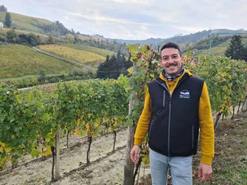 Barolo e Barbaresco, i tesori delle Langhe spopolano all'estero