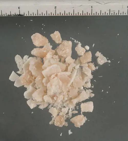 A Bologna il Comune regala pipe per il crack ai tossicodipendenti: insorge il centrodestra
