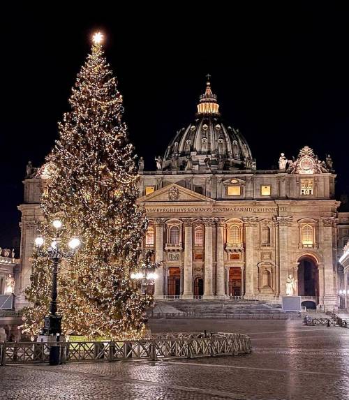 "L'abete resta qui": il Papa rischia di rimanere senza albero di Natale