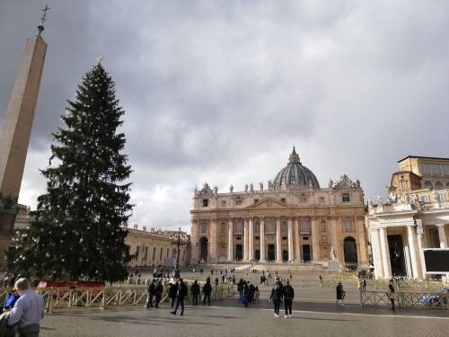 Il Papa avrà l’albero di Natale: il piano top secret per evitare gli ecologisti