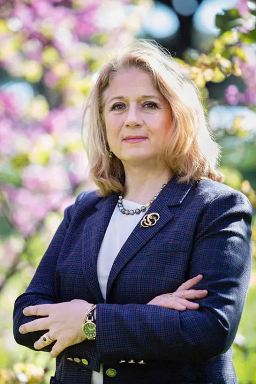 Finco: "Revisione del Codice appalti, primi aspetti positivi"