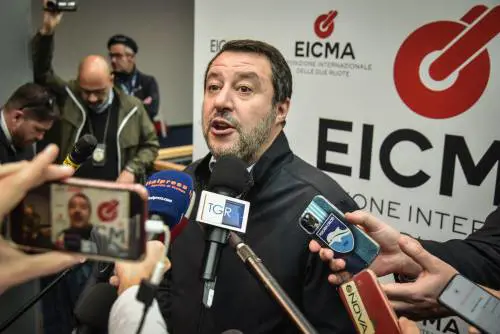 Lo strano duo scorrettissimo Salvini-Musk