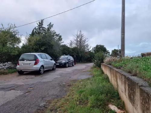 Un cadavere nella cella frigorifera. Denunciato il figlio per occultamento di cadavere