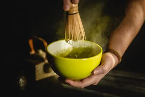 Matcha, l'alleato per la circolazione