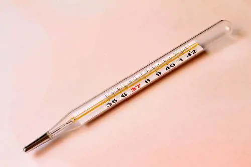Dai farmaci ai sintomi, tutto quello che c'è da sapere sull'influenza