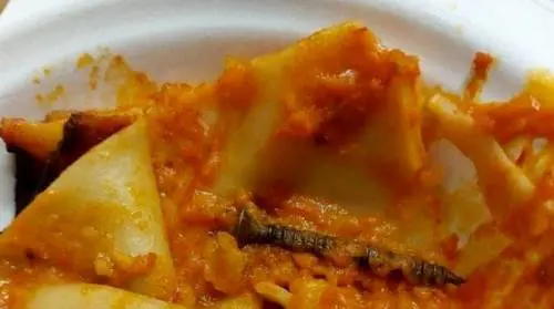 Chiodo nel piatto di pasta servito ai bambini. Il sindaco: "Atto criminoso"