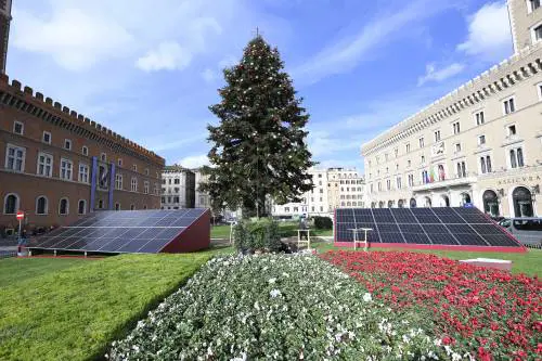 Roma, l’albero di Natale "trasloca" da Piazza Venezia: ecco perché