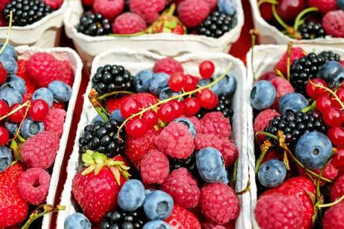 Frutti di bosco, i preziosi alleati della salute