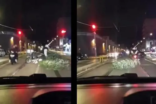 Rubano un albero di Natale e lo trascinano per strada. Il video choc