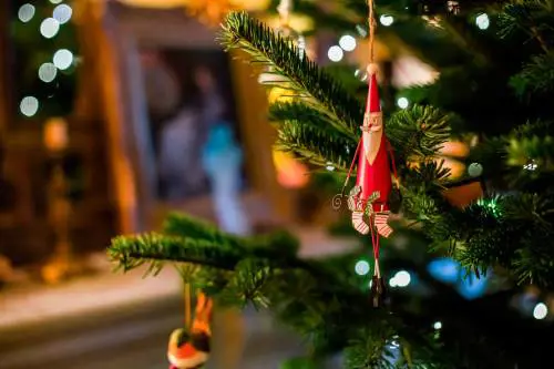 Albero di Natale finto o vero: quale scelta è più sostenibile per l'ambiente