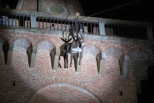 Empoli, dove gli asini (a volte) volano