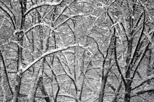 Quando arriverà la neve? C'è la data che rivoluziona il meteo