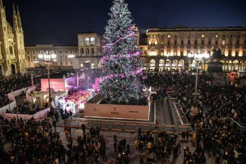 "È costato troppo". È polemica sull'abete rosa di Milano