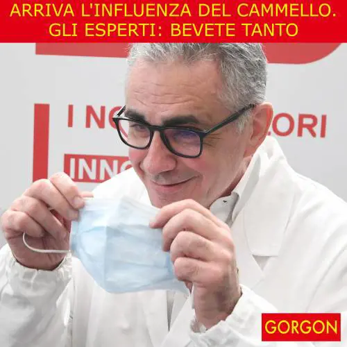 La satira del giorno. L'influenza del cammello