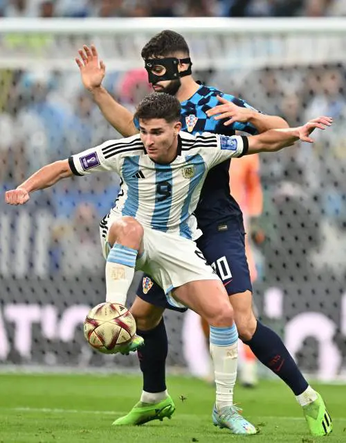 I narcisi croati recisi dai colpi di un ragazzo