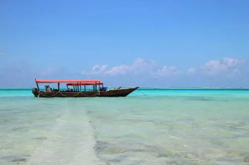 Muscat e Zanzibar: sulla rotta dell'incenso e delle spezie