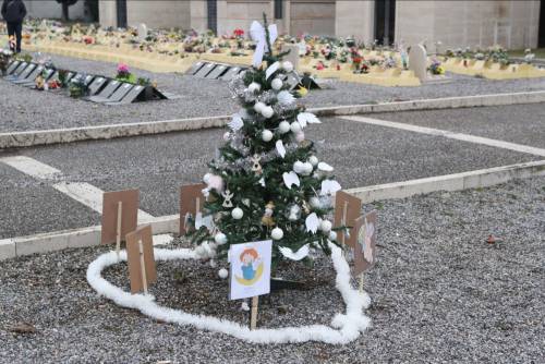 I genitori dei bimbi mai nati sepolti al cimitero monumentale di Brescia sono riusciti a posizionare nell'area delle tombe esumate un alberello di Natale