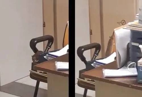 Topi in corsia nel reparto Oncologico: è bufera a Cagliari