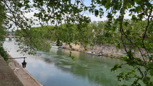 Potano gli alberi. E all'hotel arriva la maxi multa: ecco quanto deve sborsare