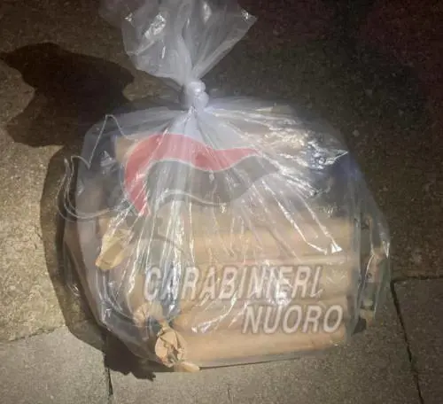 180 feriti, amputazioni, arresti: il report choc sul Capodanno