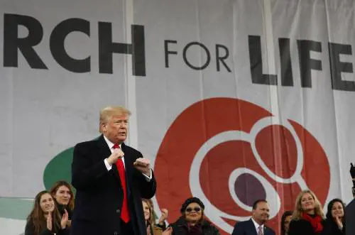 Facebook riammette Trump. E Musk cambia nome in "Mr. Tweet"