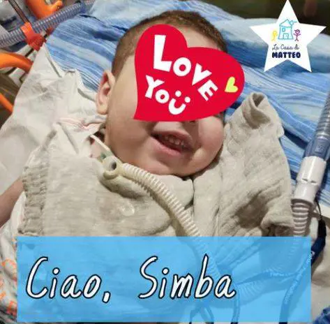 Intossicato col latte materno, Simba muore a soli tre anni