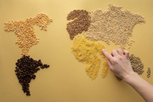 Il miglio è il cereale dell'anno. Ricco di fibre e antiossidanti è anche a basso impatto ambientale