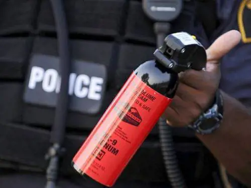 Spruzzare spray al peperoncino sui bus. Ecco il nuovo "gioco" del branco