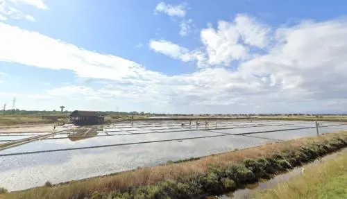 Il sale e le saline di Cervia