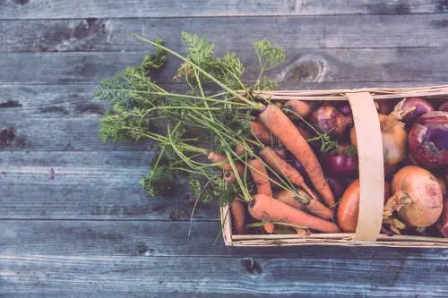 Come essere sostenibili in cucina