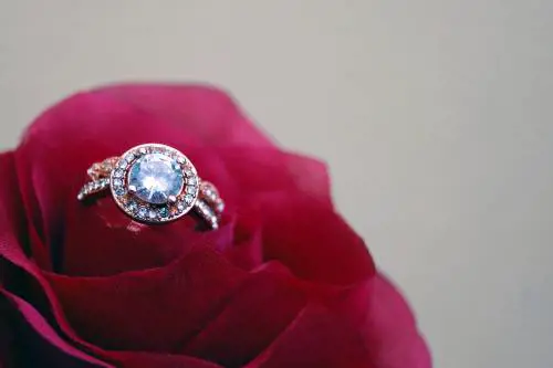 "Il diamante da 3,5 milioni di euro è uno zircone". La denuncia di Violetta Capriotti