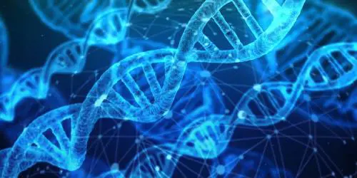 Molecole di RNA contro la crescita dei tumori