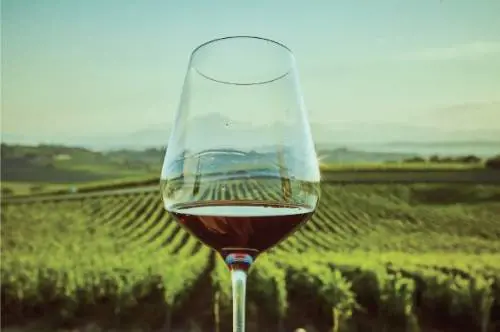 La perla della Val d'Orcia e il suo vino