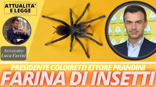 Prandini: "Il paradosso Ue, tra Nutriscore e farina di insetti"