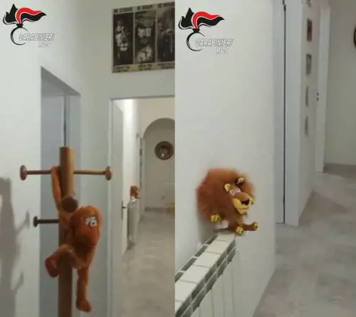 Scarpe firmate, peluche e palestra. In un video il covo di Messina Denaro