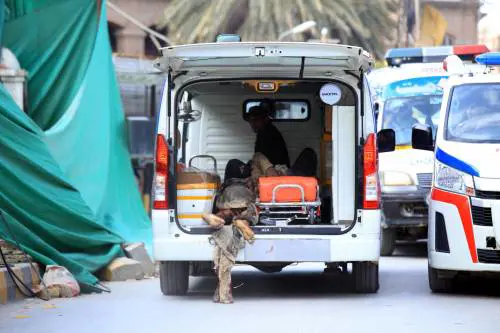 Attacco kamikaze in una moschea. Strage di poliziotti