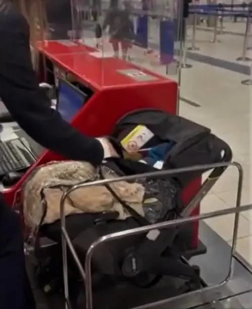 "Non paghiamo per lui". E lasciano il neonato in aeroporto