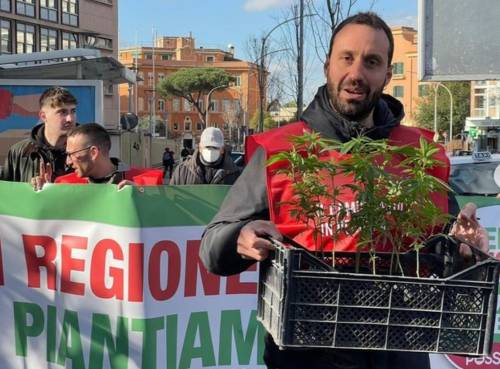 "Va legalizzata a uso ludico". La sinistra pianta la marijuana in Regione Lazio