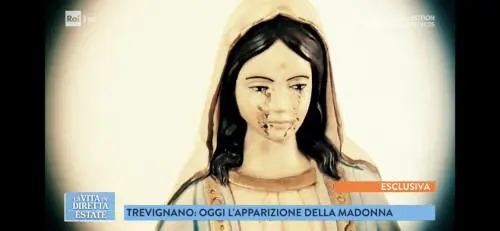 Roma, è sangue di maiale. Le lacrime della Madonna finiscono in procura