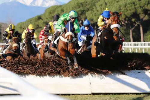 San Rossore – Alfea Corse Cavalli