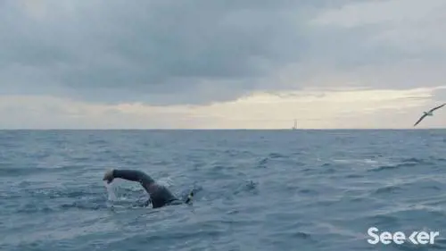 Benoit Lecomte, l’uomo che sfidò l’oceano Pacifico 