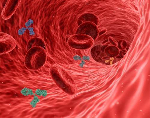 Benessere del cuore over: coronarie ostruite sintomi e cure