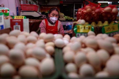 In Cina primo decesso per aviaria. Oms: "Basso rischio, ma sorvegliare"