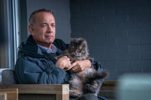 “Non così vicino”, Tom Hanks in un dramedy che riconcilia con la vita 