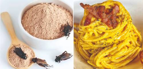 Farina di insetto? No grazie. La cucina italiana va difesa
