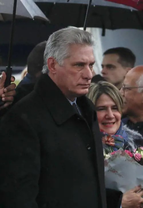 L'ultimo inganno ai cubani senza carne: "Mangiate carrube, sono un superfood"