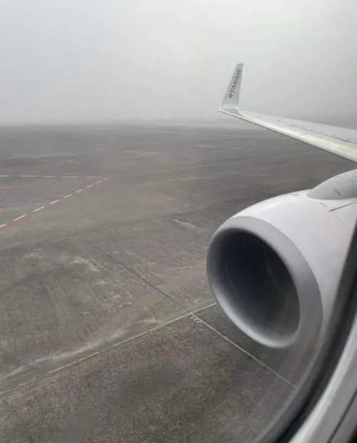 Voli dirottati a causa della "lupa di mare": cosa è successo a Catania