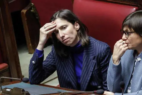 "Sinistra fucsia e radical chic...". Ora Schlein fa litigare i comunisti