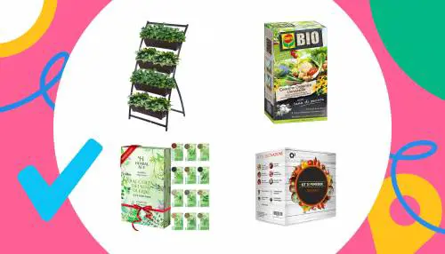 Orto fai da te: kit, concimi e attrezzi per iniziare
